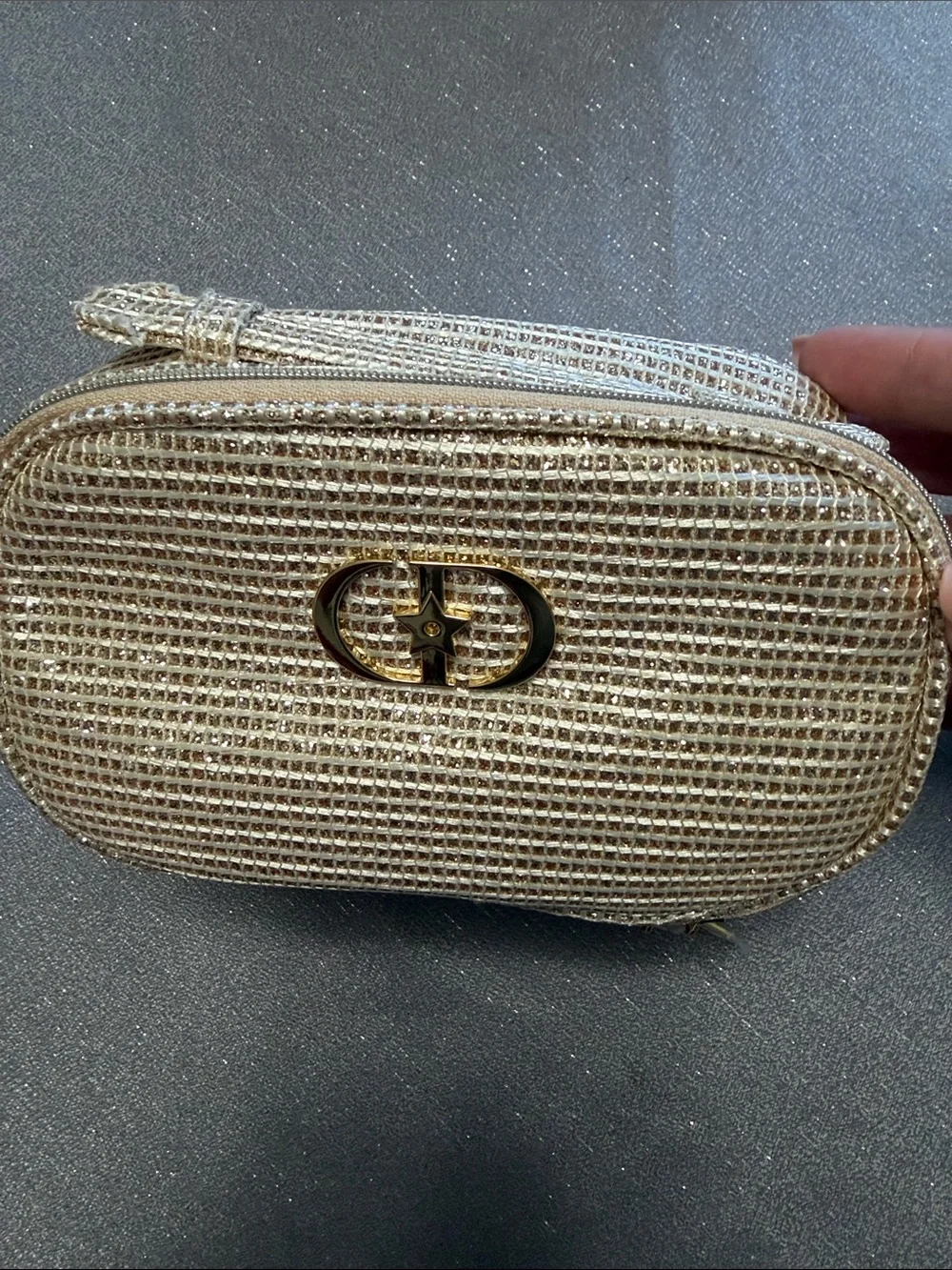 Dior Gold Crystal Mesh Cosmetic Case